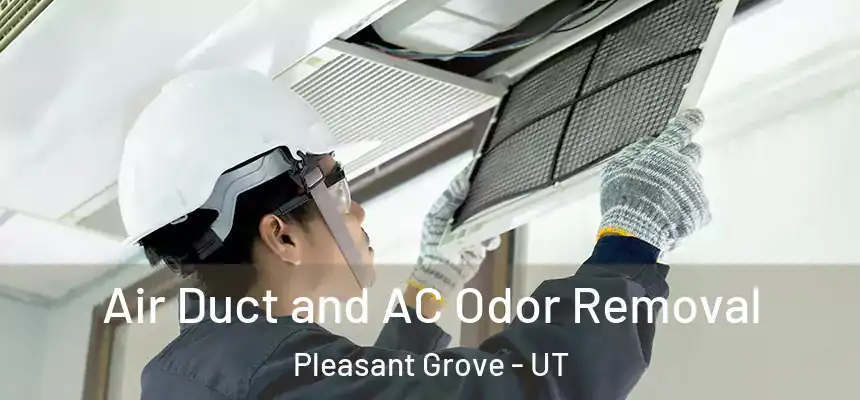 Air Duct and AC Odor Removal Pleasant Grove - UT