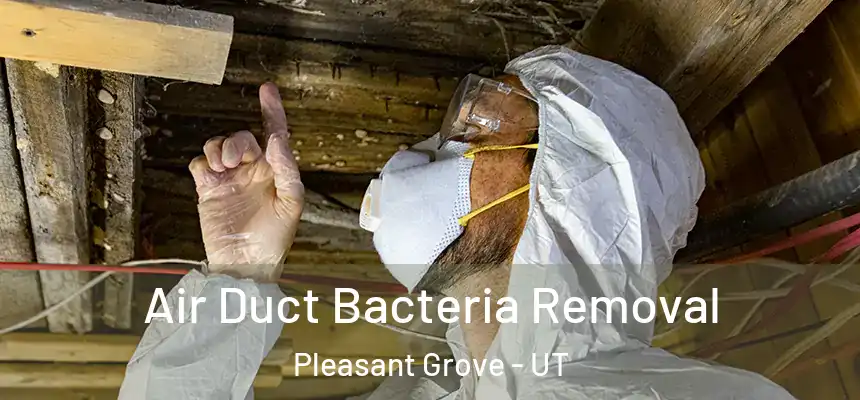  Air Duct Bacteria Removal Pleasant Grove - UT