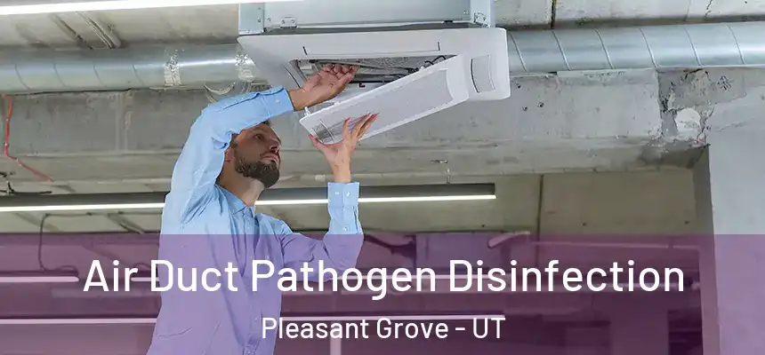  Air Duct Pathogen Disinfection Pleasant Grove - UT