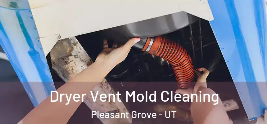  Dryer Vent Mold Cleaning Pleasant Grove - UT