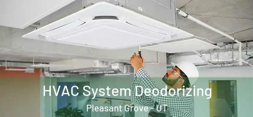  HVAC System Deodorizing Pleasant Grove - UT