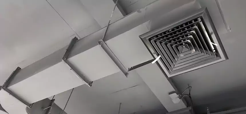 Restorative Allergy Relief Vent Cleaning – Coil, Blower & Housing Detail in Pleasant Grove