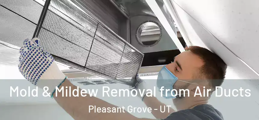  Mold & Mildew Removal from Air Ducts Pleasant Grove - UT