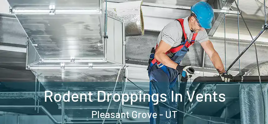 Rodent Droppings In Vents Pleasant Grove - UT