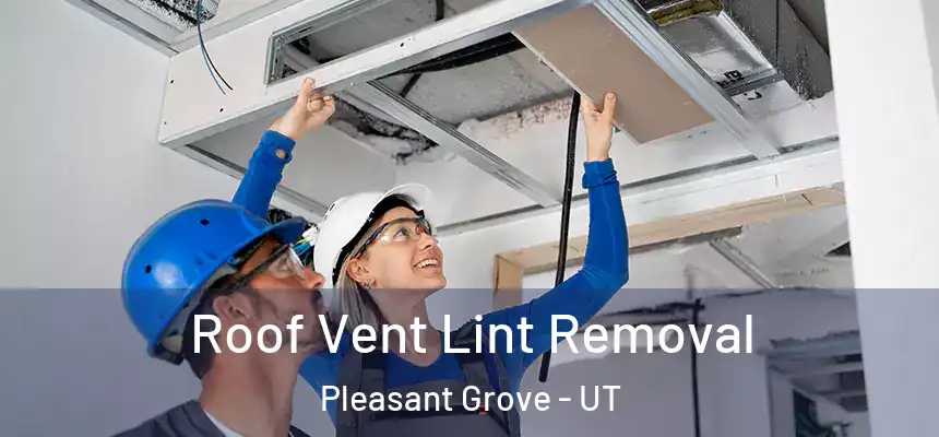 Roof Vent Lint Removal Pleasant Grove - UT