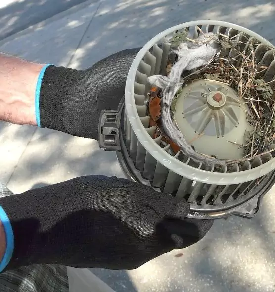 About Air Duct Mice Removal in Pleasant Grove, UT