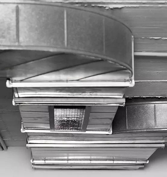 Professional Air Duct Pet Hair Removal in Pleasant Grove, UT