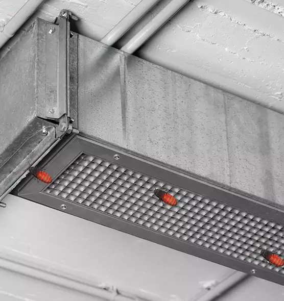 Affordable Insect Removal from Air Ducts in Pleasant Grove, UT