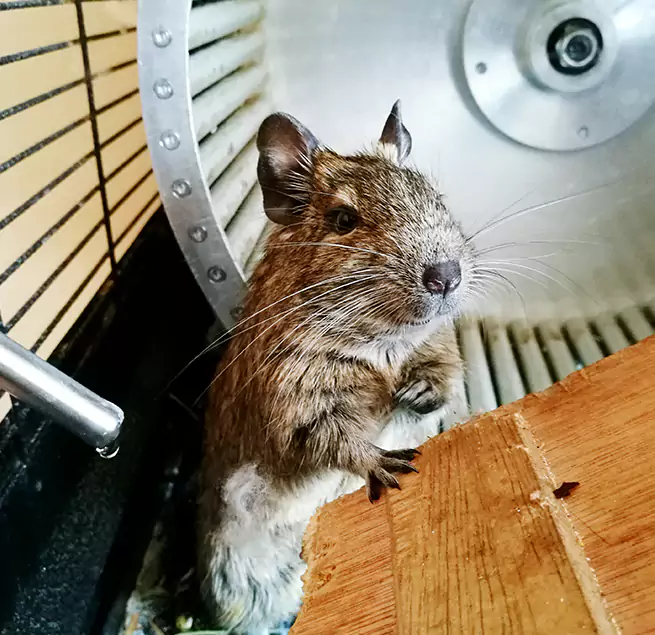 Why Homeowners & Businesses Trust Us Pleasant Grove, UT