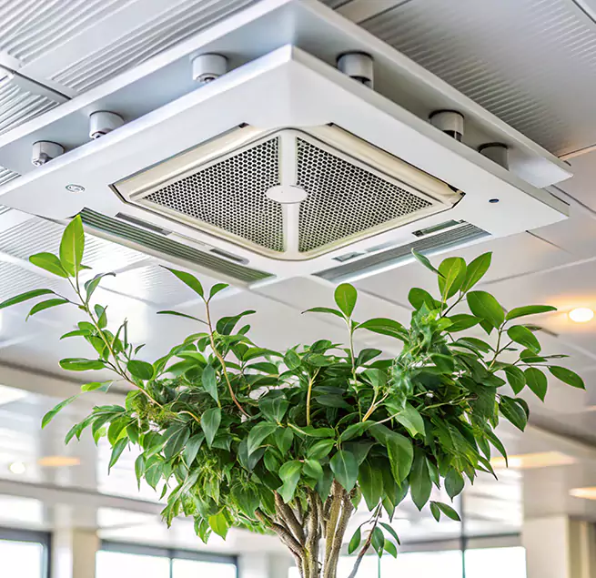 Why Homeowners & Businesses Trust Us in Pleasant Grove, UT?