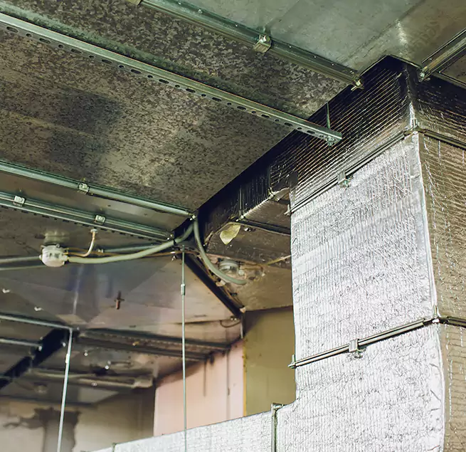 Why Homeowners & Businesses Trust Us in Pleasant Grove, UT?